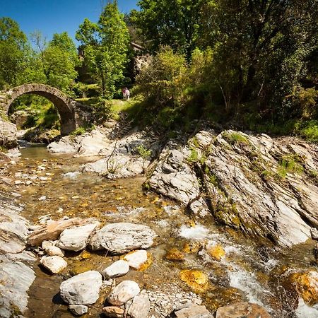 Transgardon B&B en Cévennes Saint-Privat-de-Vallongue Esterno foto