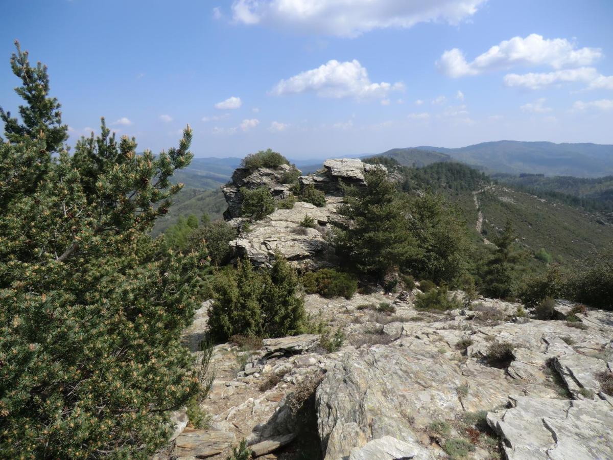 Transgardon B&B en Cévennes Saint-Privat-de-Vallongue Esterno foto