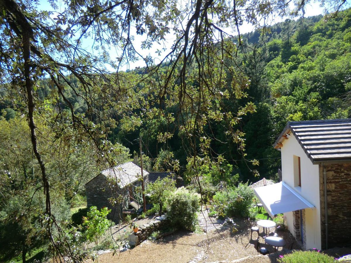 Transgardon B&B en Cévennes Saint-Privat-de-Vallongue Esterno foto