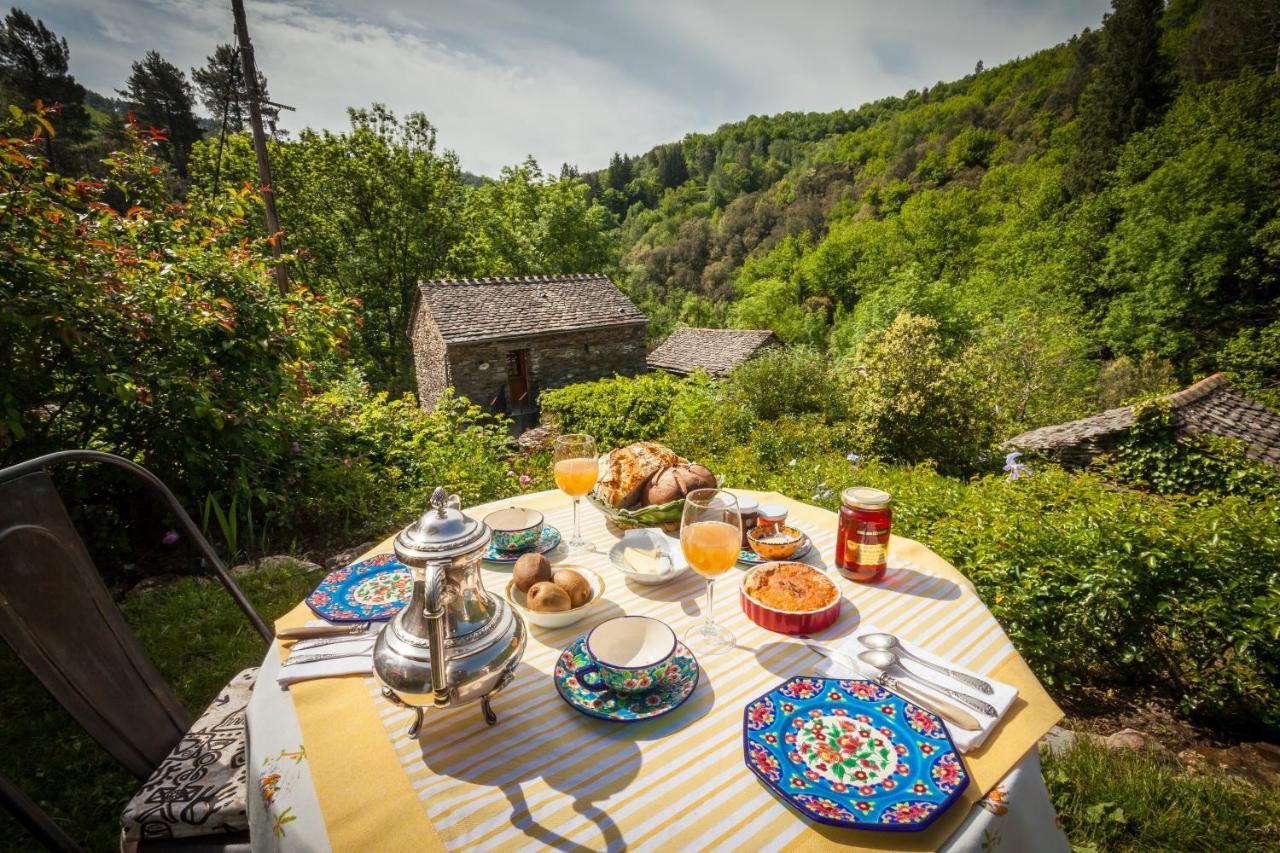 Transgardon B&B en Cévennes Saint-Privat-de-Vallongue Esterno foto