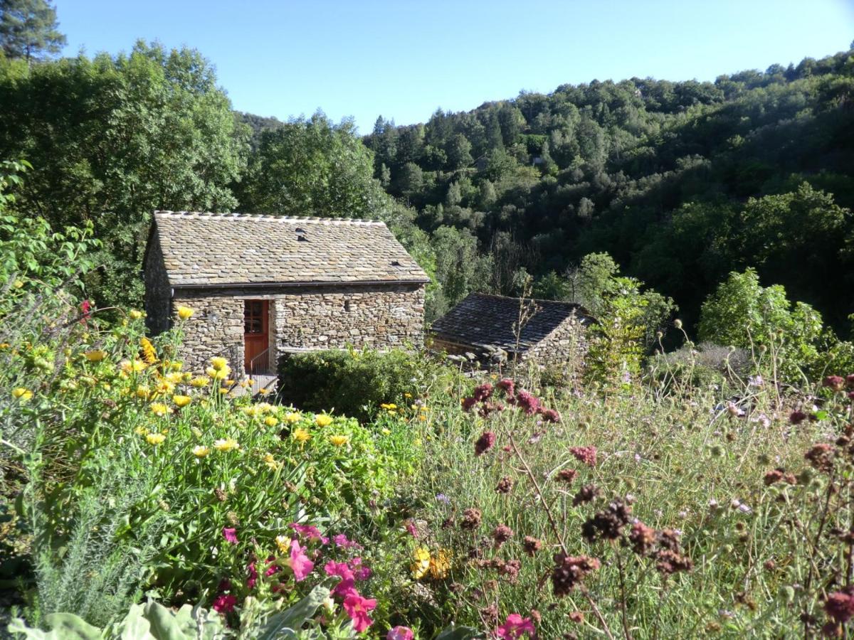 Transgardon B&B en Cévennes Saint-Privat-de-Vallongue Esterno foto